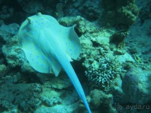 Теперь вернемся только сюда