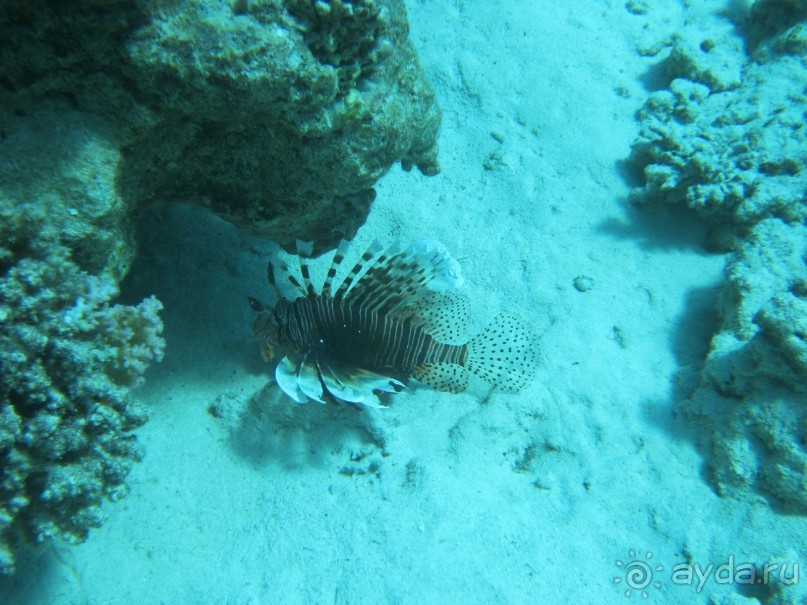 Теперь вернемся только сюда