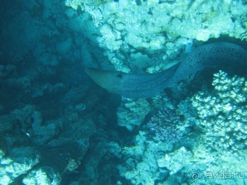 Теперь вернемся только сюда