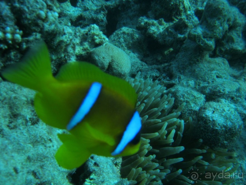 Теперь вернемся только сюда