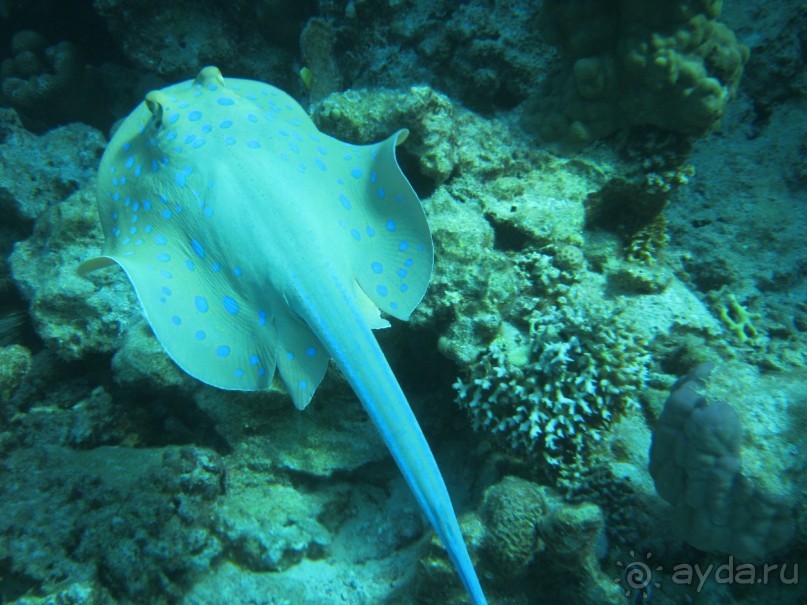 Теперь вернемся только сюда