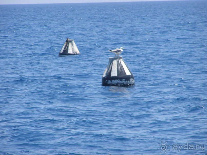 Осторожно,ТУРЦИЯ!!!!