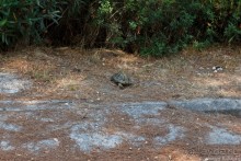 Путешествие по северо-востоку Греции (Халкидики,Метеоры, Олимп,Салоники)