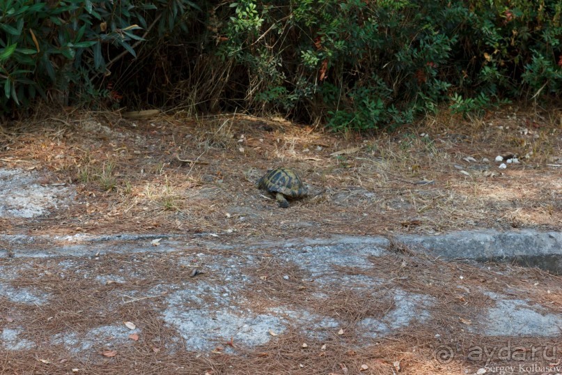 Путешествие по северо-востоку Греции (Халкидики,Метеоры, Олимп,Салоники)