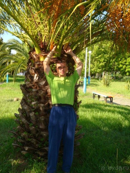 Ожидали большего...