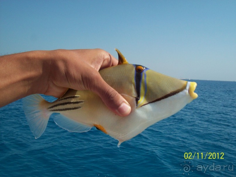 фото Hurghada Long Beach Resort