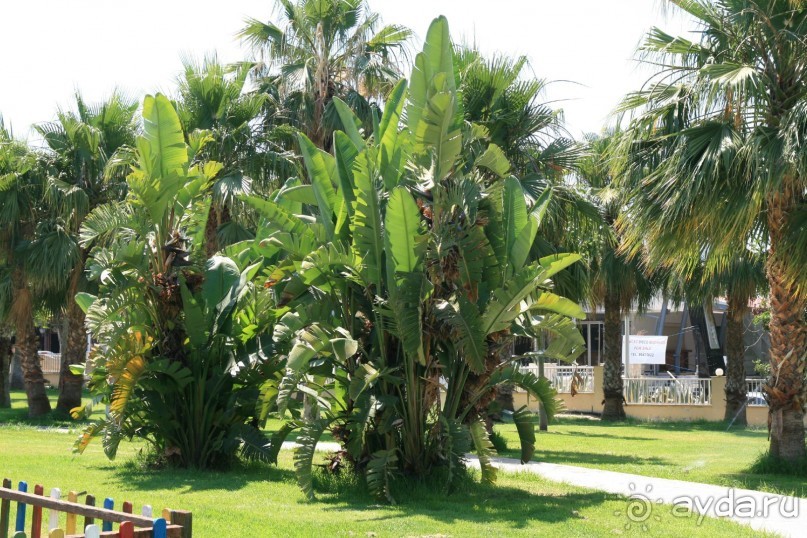 Маленький кусочек блаженного отдыха