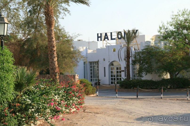 Ну очень понравился