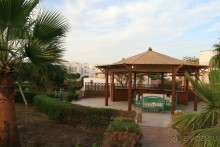 Ну очень понравился