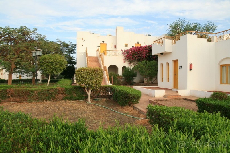 Ну очень понравился