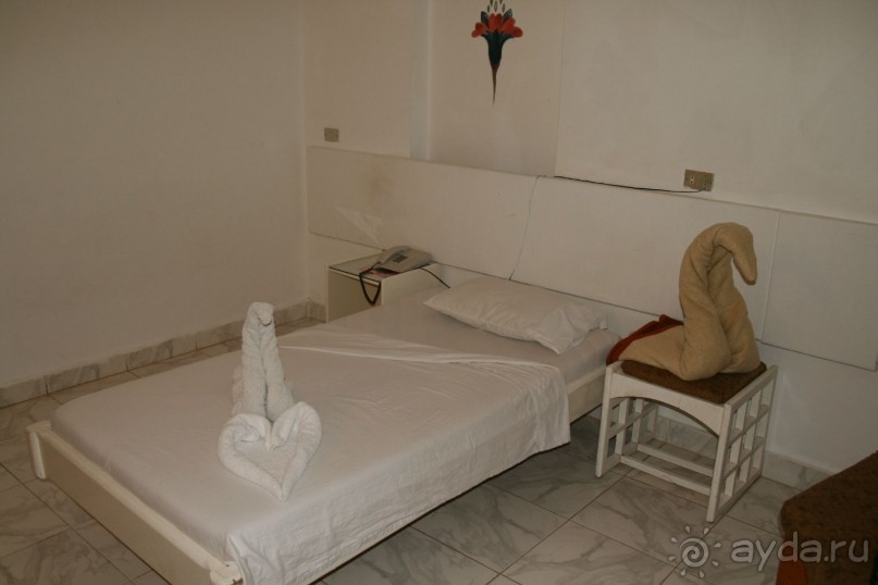 Ну очень понравился