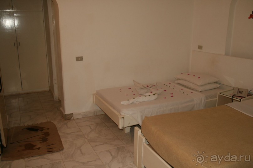 Ну очень понравился