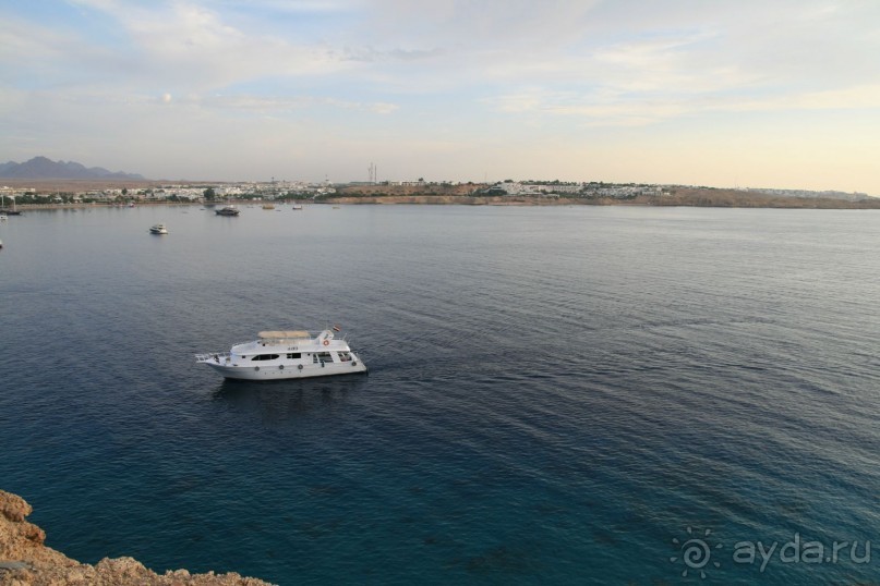 Ну очень понравился