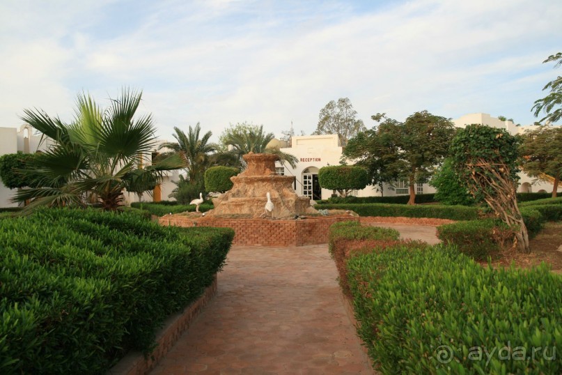 Ну очень понравился