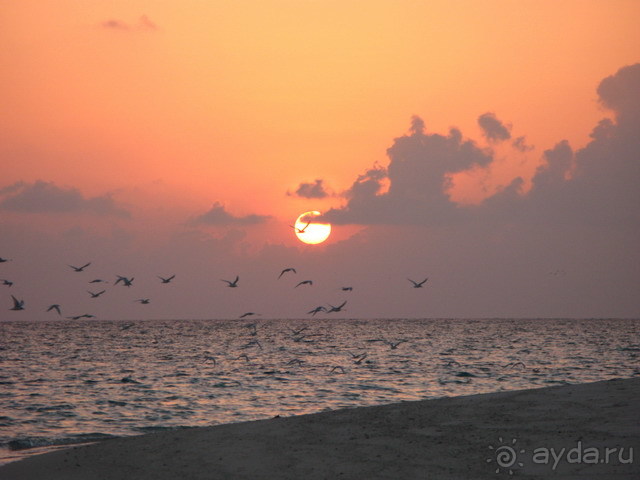 фото Kuramathi Maldives