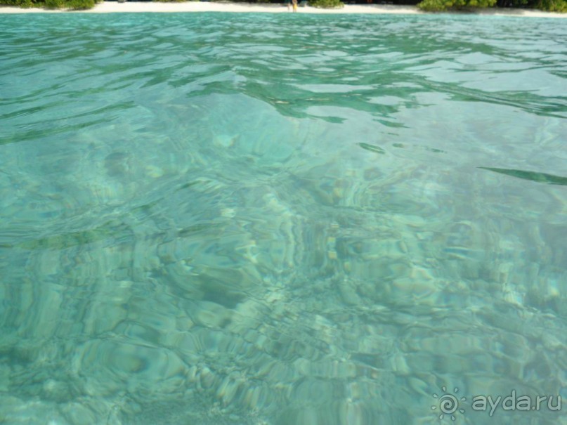 фото Royal Island Resort & Spa