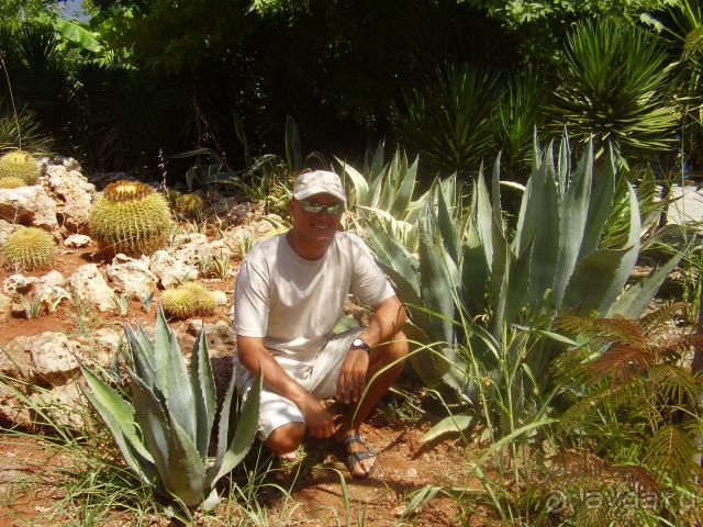 фото Amara Centro Resort