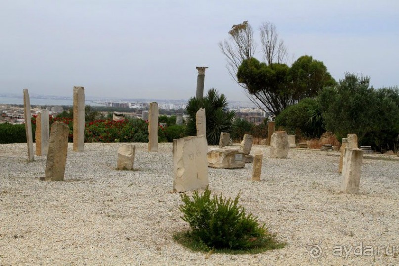 Тунис 2012. Дугга. Карфаген. Сиди Бу Саид