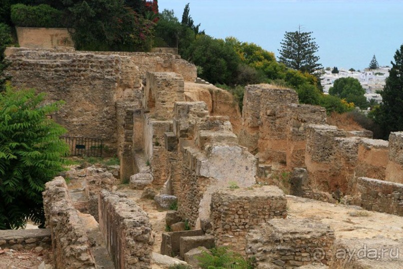 Тунис 2012. Дугга. Карфаген. Сиди Бу Саид