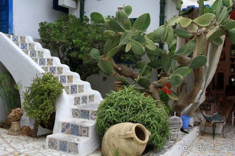 Тунис 2012. Дугга. Карфаген. Сиди Бу Саид