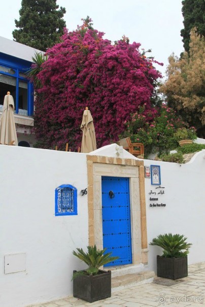 Тунис 2012. Дугга. Карфаген. Сиди Бу Саид