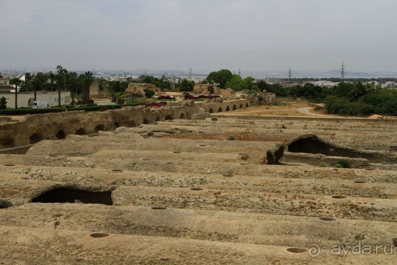 Тунис 2012. Дугга. Карфаген. Сиди Бу Саид