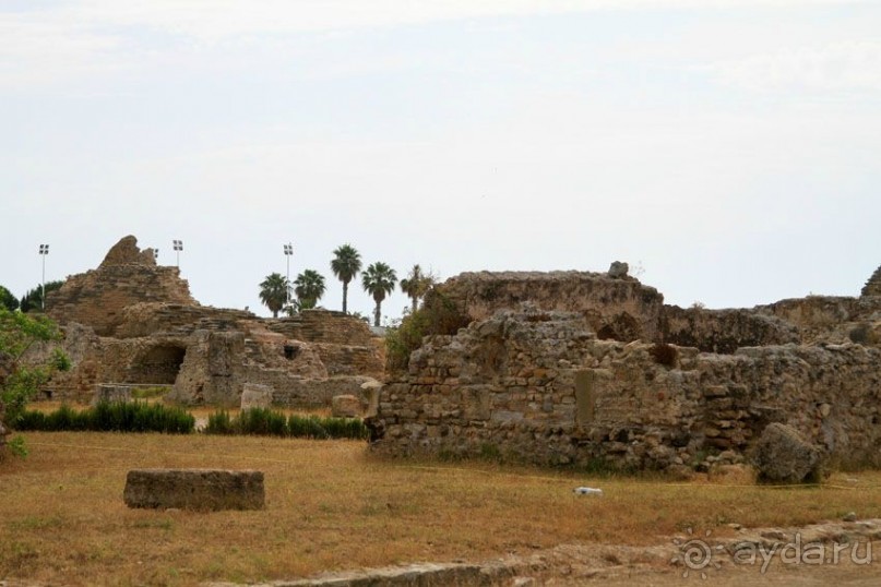 Тунис 2012. Дугга. Карфаген. Сиди Бу Саид