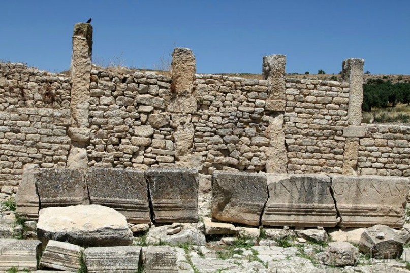 Тунис 2012. Дугга. Карфаген. Сиди Бу Саид