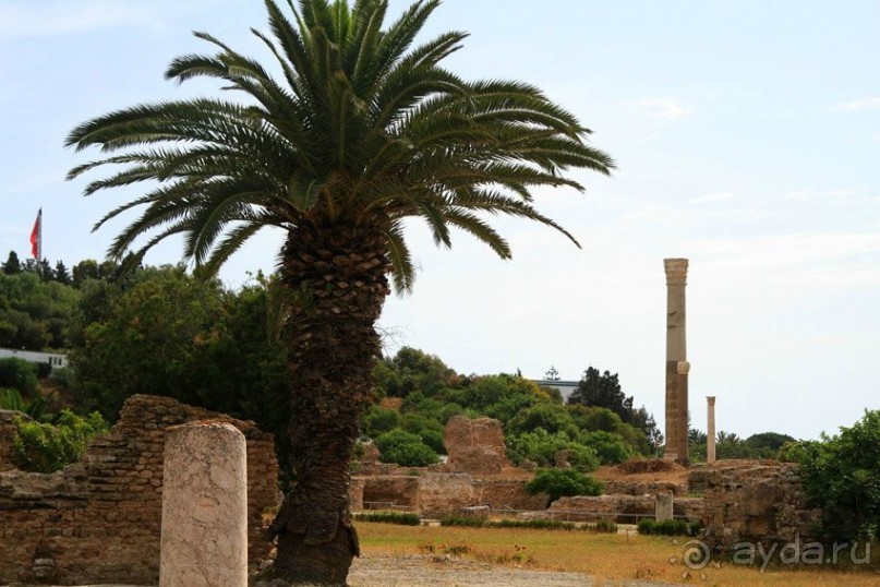 Тунис 2012. Дугга. Карфаген. Сиди Бу Саид