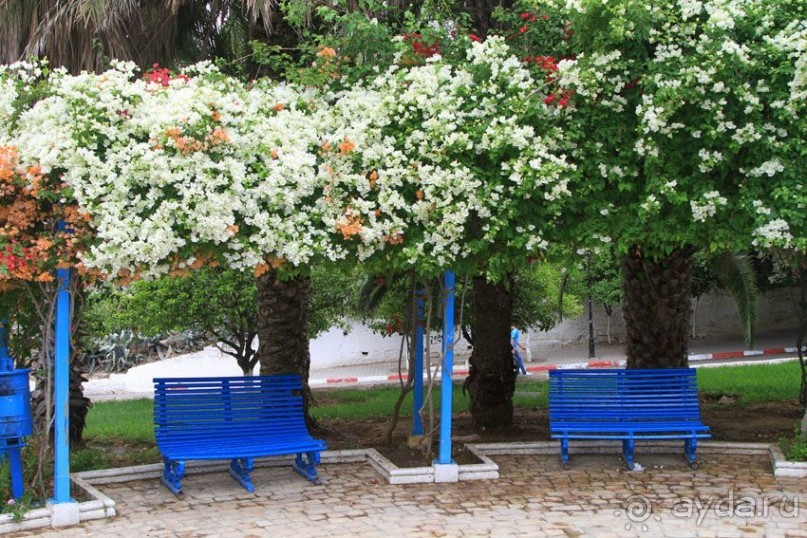 Тунис 2012. Дугга. Карфаген. Сиди Бу Саид