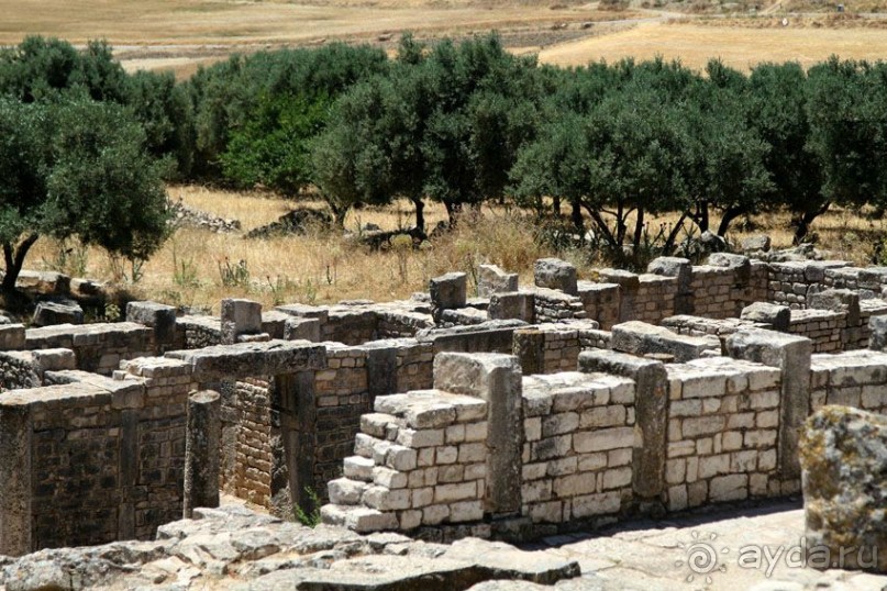 Тунис 2012. Дугга. Карфаген. Сиди Бу Саид