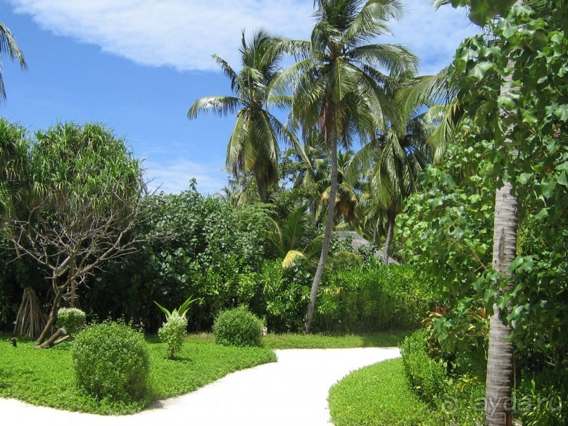 Ayada Maldives - незабываемый отдых вдали от цивилизации