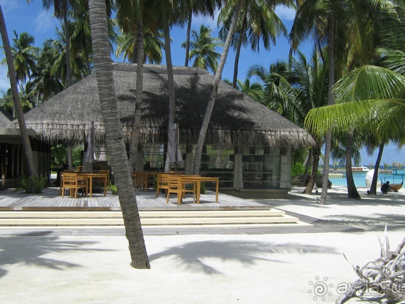 Ayada Maldives - незабываемый отдых вдали от цивилизации