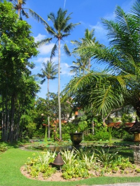 озеро с лотосами