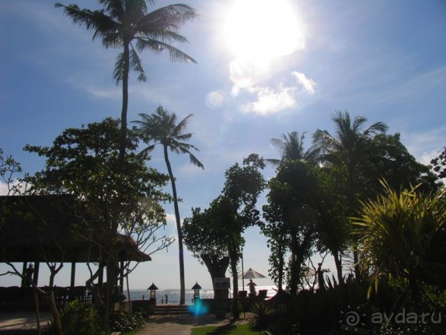 дорожка к океану