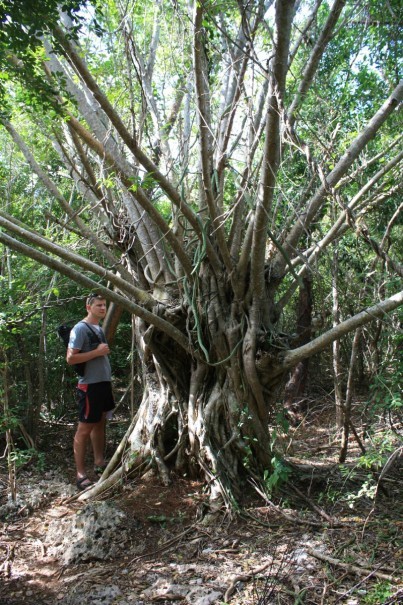 Sandals Royal Hicacos Resort&amp;SPA 5*