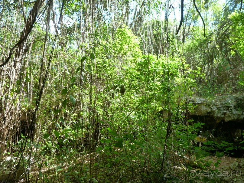 Sandals Royal Hicacos Resort&amp;SPA 5*