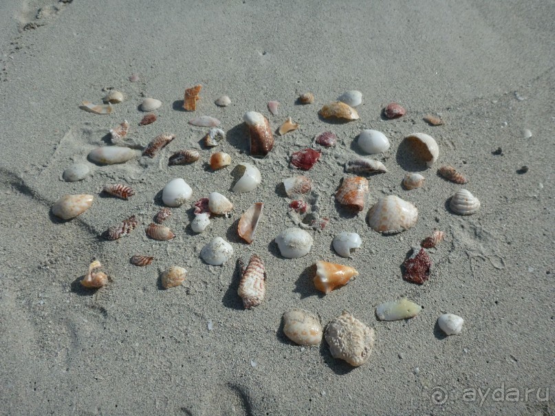 Sandals Royal Hicacos Resort&amp;SPA 5*