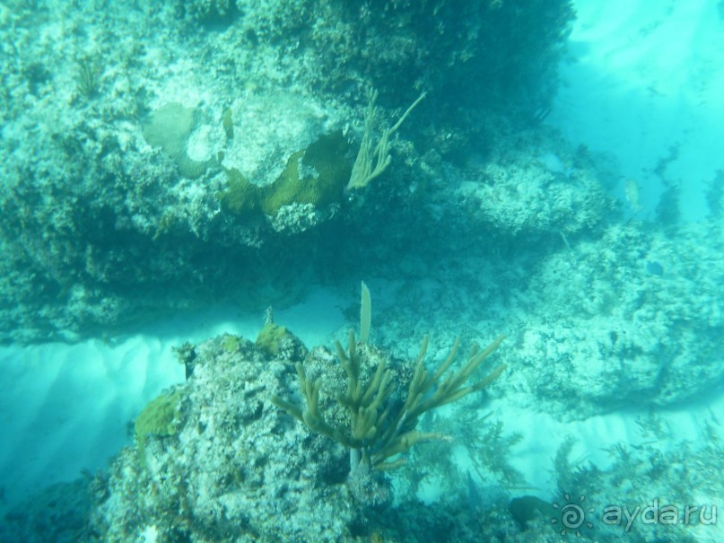 фото Playa Blanca Cayo Largo