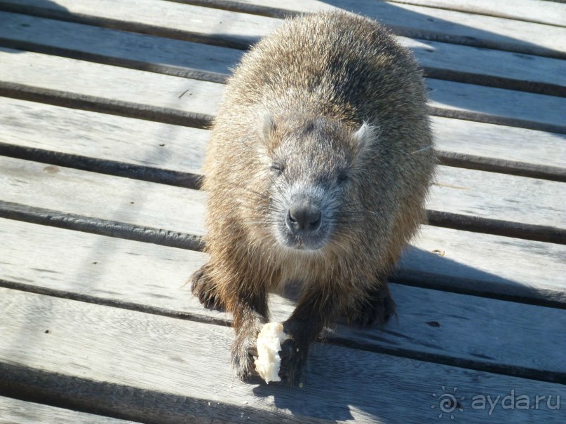фото Playa Blanca Cayo Largo