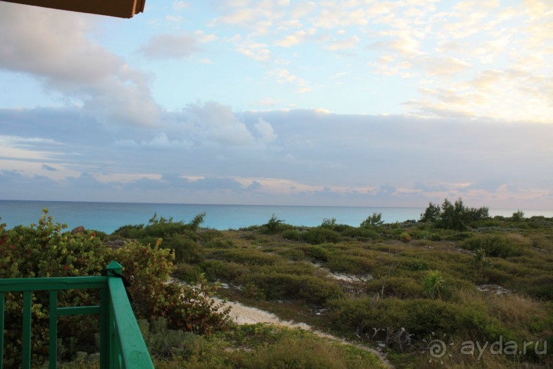 вид из номера