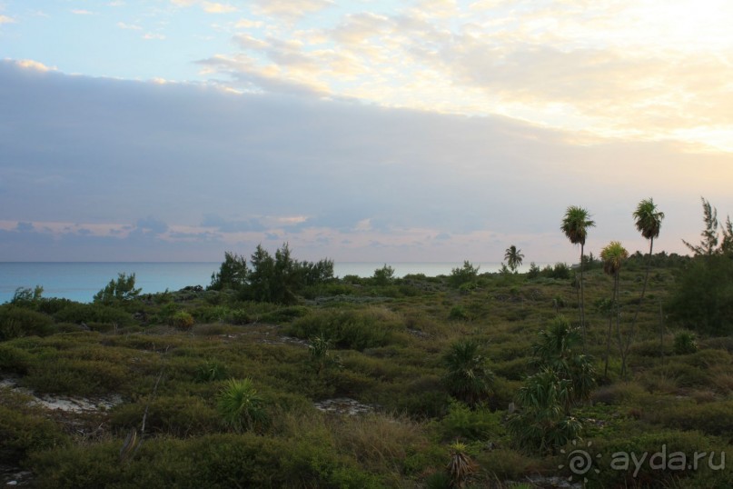 вид из номера