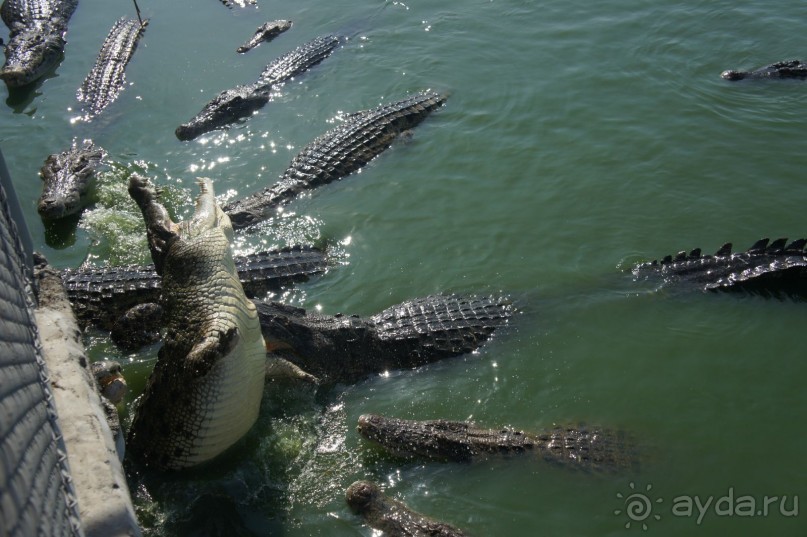 Ambassador City Jomtien Marina Tower Wing