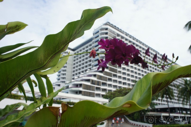 Ambassador City Jomtien Marina Tower Wing