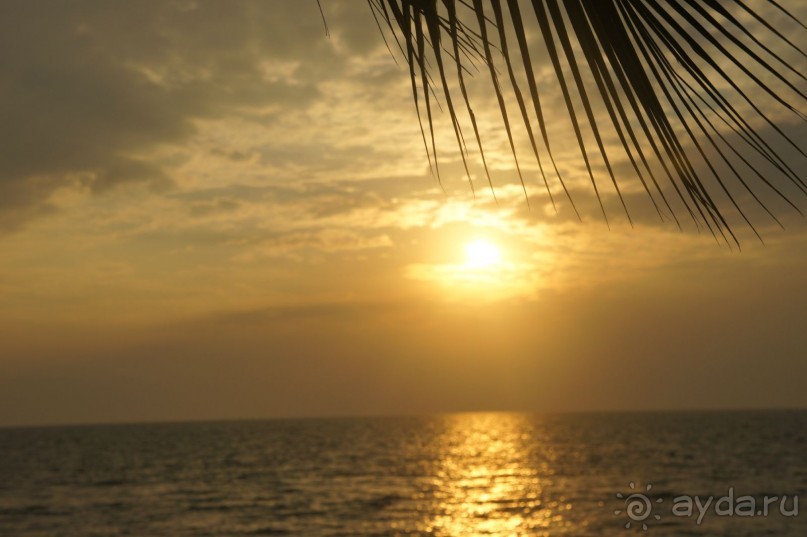 Ambassador City Jomtien Marina Tower Wing