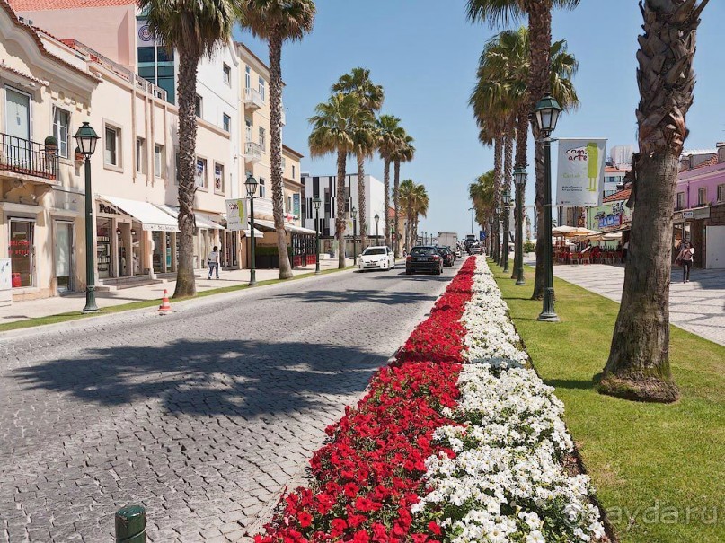 фото Кашкайша