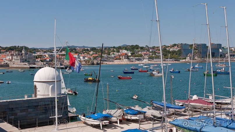 фото Кашкайша