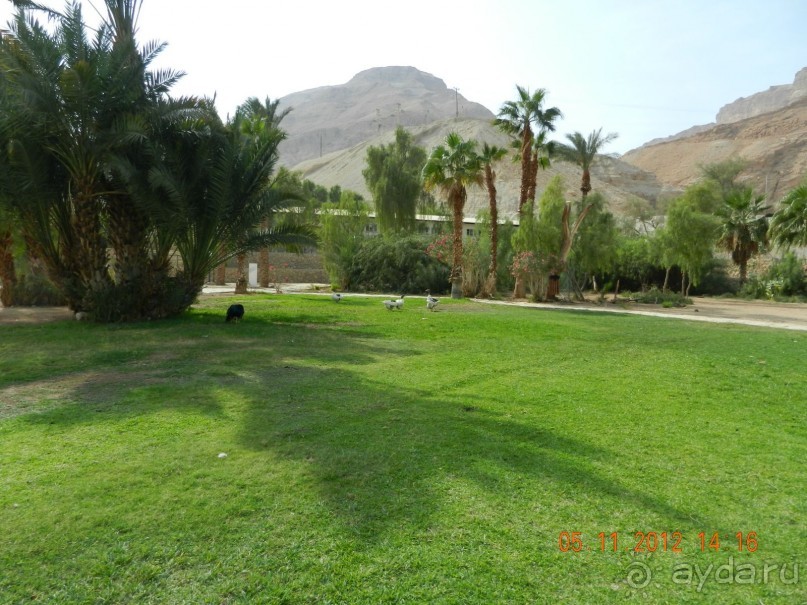 фото Leonardo Inn Dead Sea 