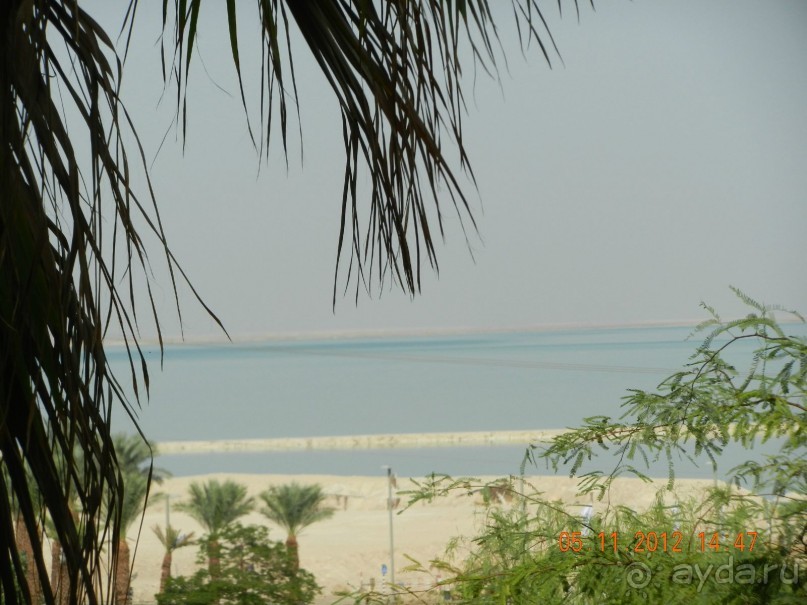 фото Leonardo Inn Dead Sea 