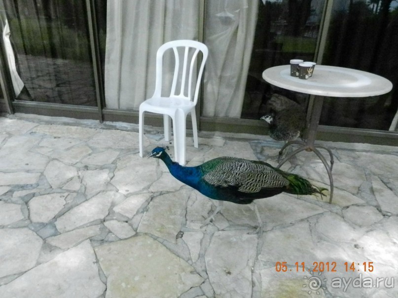 фото Leonardo Inn Dead Sea 